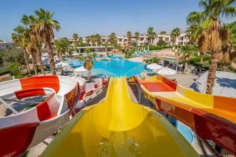 Egypte : Hôtel Adult Only +18 - Amphoras Aqua