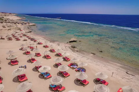 Egypte : Hôtel Charmillion Sea Life
