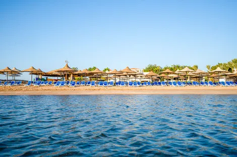 Egypte : Hôtel Ivy Cyrene Sharm Resort (+ de 13 ans)