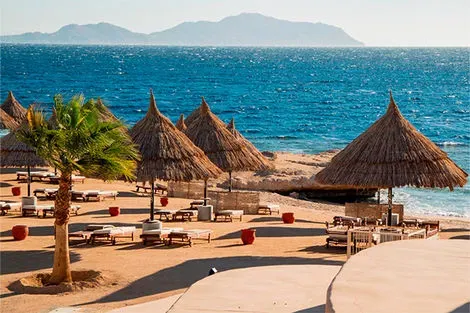 Egypte : Hôtel Sheraton Sharm Hôtel, Resort, Villas & Spa