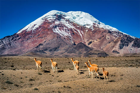 Chimborazo