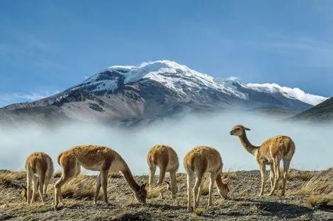 gouvernement canada voyage equateur