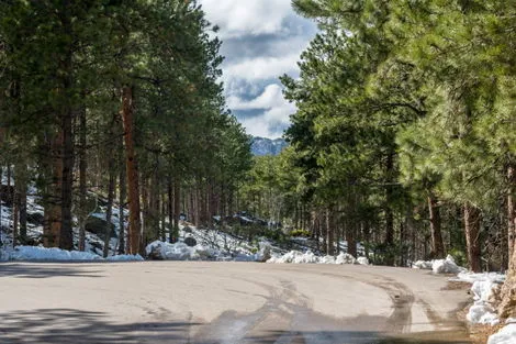 Black Hills National Forest