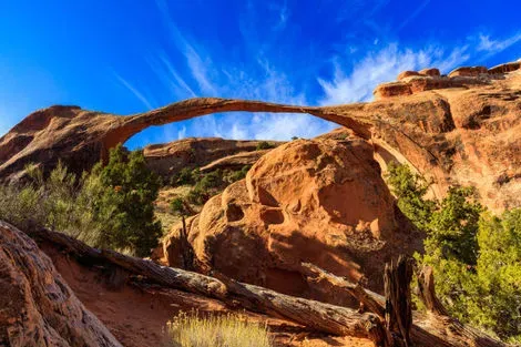 Autotour Rocheuses & Yellowstone - STD las_vegas Etats-Unis