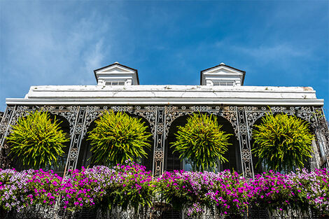 New Orleans
