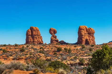 Arches National Park