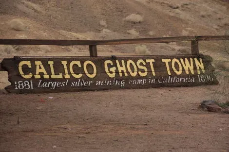 Calico