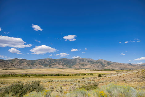 elko