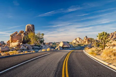 Joshua Tree