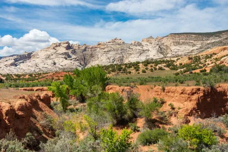 Paysage au Dinosaur National Monument