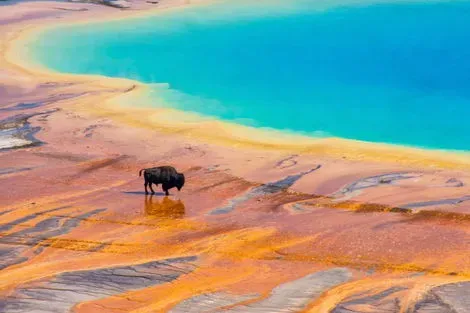 Yellowstone