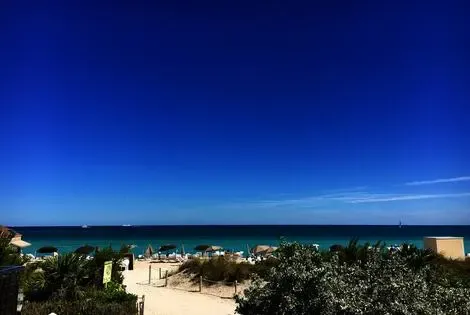 Hôtel Carillon Miami Wellness Resort miami ETATS-UNIS