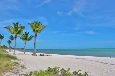 Circuit Découverte de la Floride miami Etats-Unis