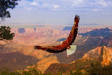 Grand Canyon