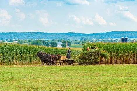 Pays amish