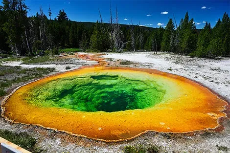 Yellowstone -  Old Faithful