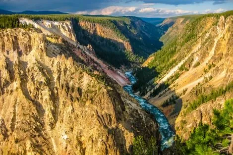 Yellowstone falls