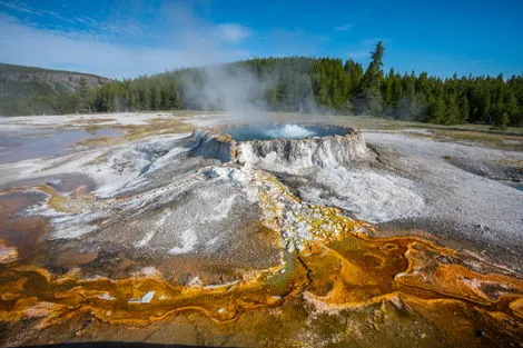 Geyser Yellowstone