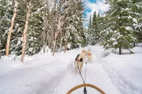 Finlande : Club Jumbo Tankavaara Gold Village (activités incluses)