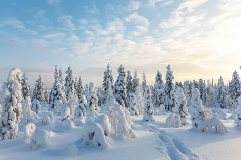 Circuit Séjour multi activités à Suomu en chalet Suomutunturi rovaniemi Finlande