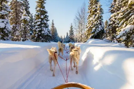 Finlande : Hôtel Séjour activités 