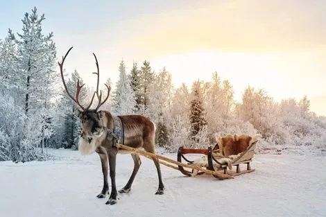 Finlande : Hôtel Suomutunturi