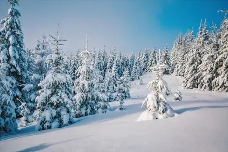 Paysages