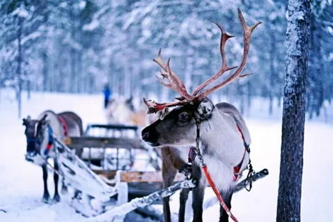 Circuit Emerveillement chez le Pere Noël rovaniemi Finlande