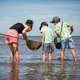 Pêche à pieds