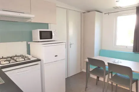 France Provence-Cote d Azur : Camping Les Palmiers