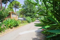 Camping les Jardins d'Agathe agde France