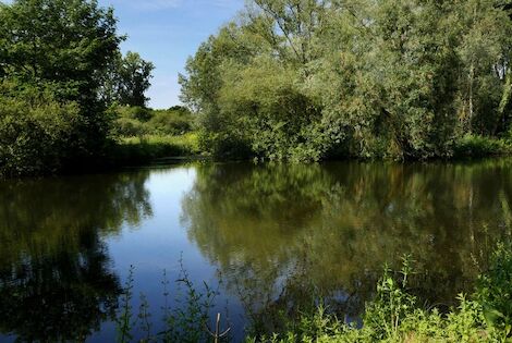 Camping Parc Des Cygnes amiens France