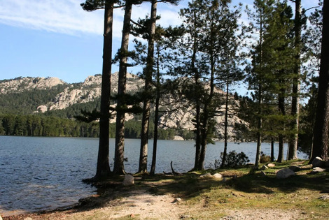 Camping Campo Di Liccia bonifacio France