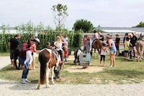 Camping L'Océan   bremsurmer France