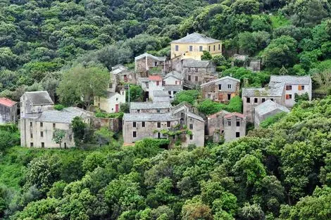 Hôtel Misincu cagnano FRANCE