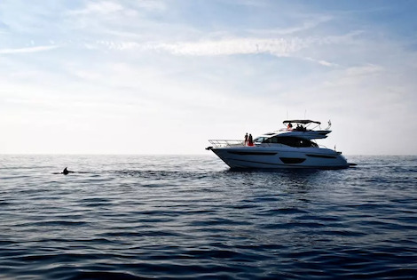 Camping International calvi France