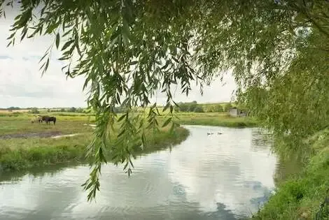 Camping Le Clos du Moulin graye_sur_mer France