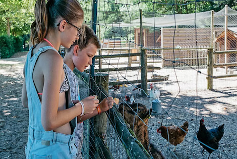 Camping La Pinède la_palmyre France