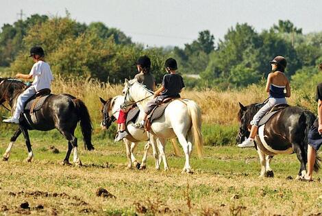 Camping Airotel Oléron le_chateaudoleron France