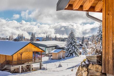 Résidence hôtelière Résidence Les Chalets du Berger Premium les_deserts France