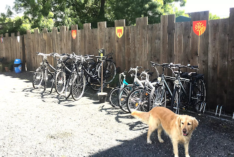 Flower Camping Les Granges luynes France