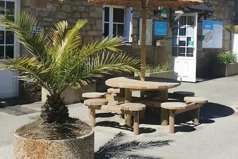 Camping Paradis - Les Palmiers saintphilibert France