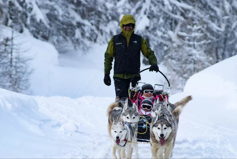 Résidence Le Chamois Blond vars France