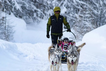 Résidence Le Chamois Blond vars France