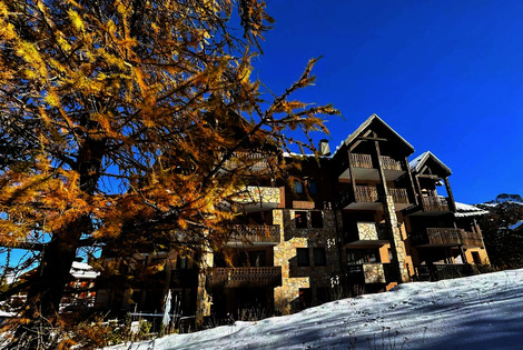 Résidence Le Chamois Blond vars France