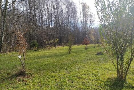 Camping les Bouleaux vaujany France