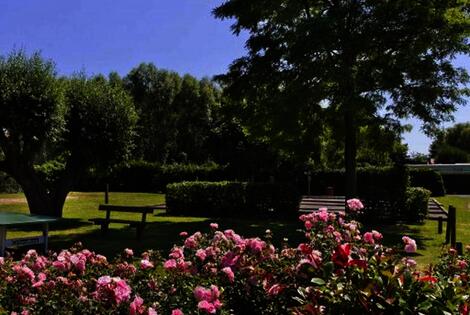 Camping Les Résidences La Becque warhem France