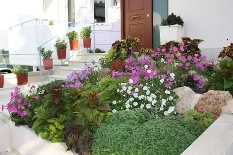 Hôtel Veggie Garden Athens B&b elliniko_argyroupoli GRECE