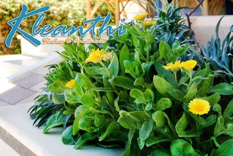 Hôtel Kleanthi Apartments kato_gouves GRECE