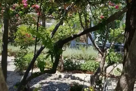 Hôtel George Beach Studios kolymbia GRECE